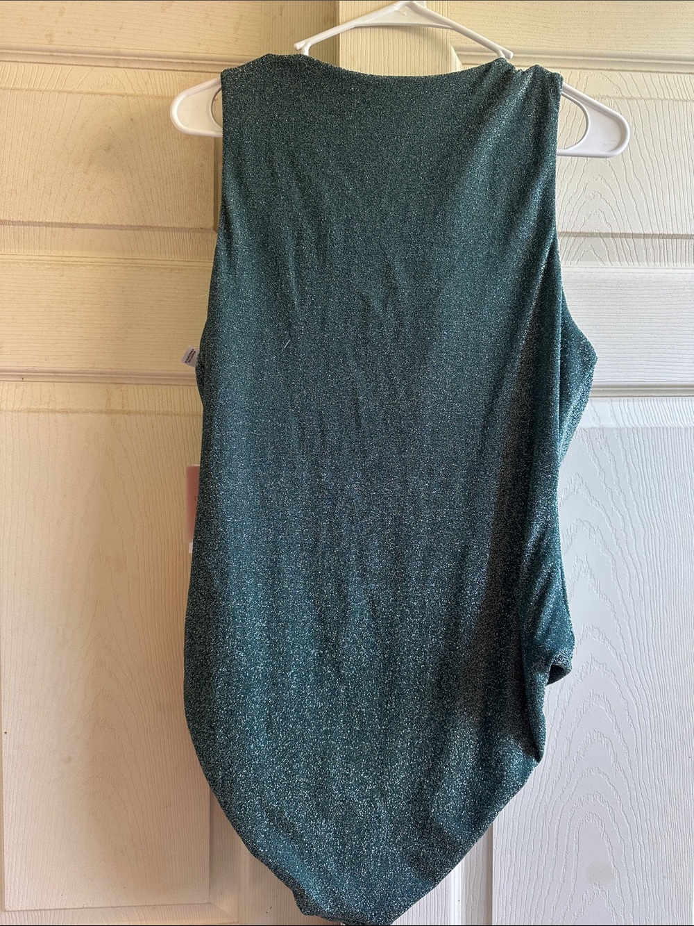 Andie Shimmery Teal One-Piece Swimsuit with Front Buttons - Picture 7 of 7